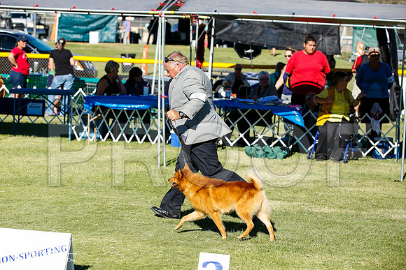 _JN_9654-AlamogordoOct2014-HR3
