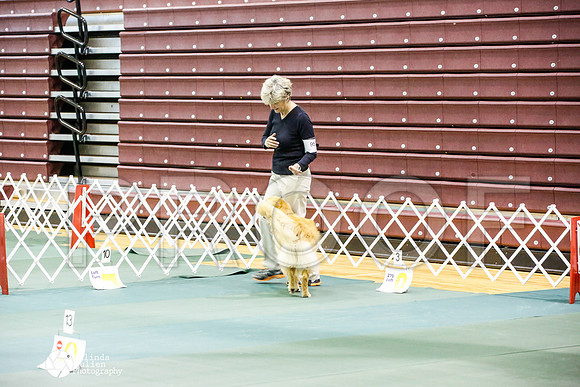 _JJ_4186-BsrCtyJun2014-HR3