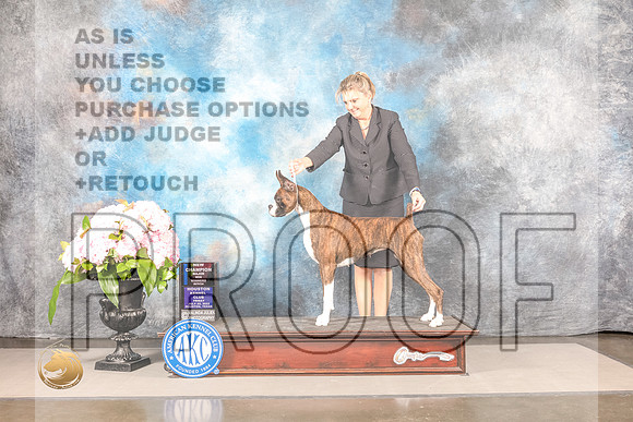 Boxer #? FRI BW NCH Major Judge Karen McFarlane *R*Boxer #? FRI BW NCH Major Judge Karen McFarlane *R*_MJ_8228_Houston_2022_HR3_Houston_2022_HR3