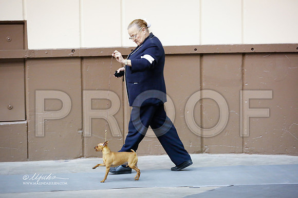MinPin-2961-SANov13-HR