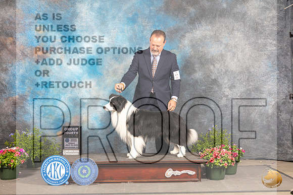 Border Collie #5 Fri G4 Judge Allen Odom_MJ_0080_SA_2022_HR3