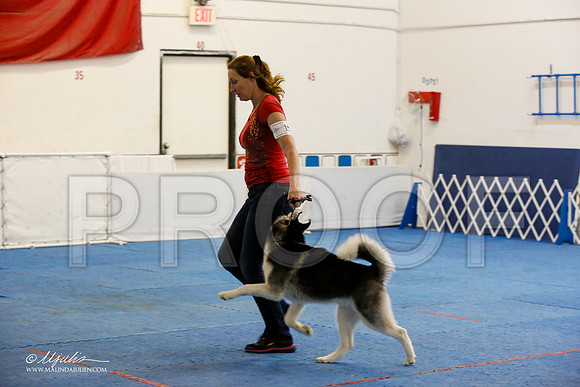 _M3_9427-AddisonHuskyMar2015-HR3