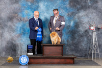 Pomeranian #19 Sat G1 Judge Gary Andersen