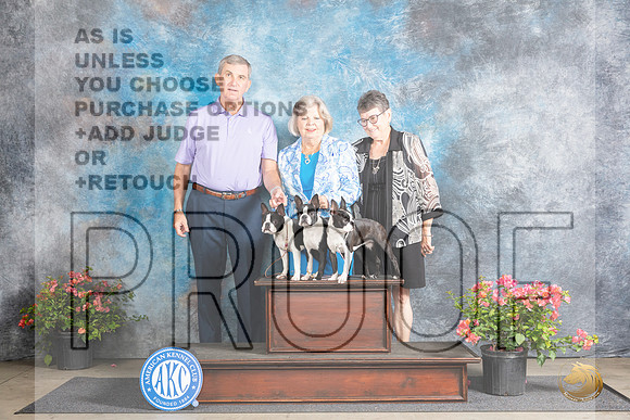 Boston Terrier #10 Fri BOS Judge Polly Smith__JP_3935_San Antonio_2024_HR3