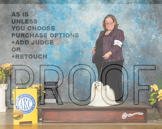 Maltese #5 Fri G4 Judge Betty Pollock-MMJ_9887-NWARK2022-HR3