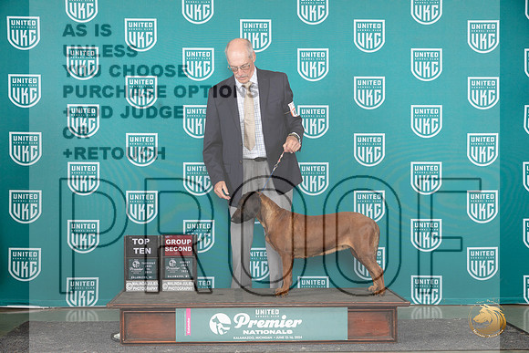 Bavaria Mountain Hound #683 Sun G2 Judge Lori Sargent__JP_3224_Premier_2024_HR3