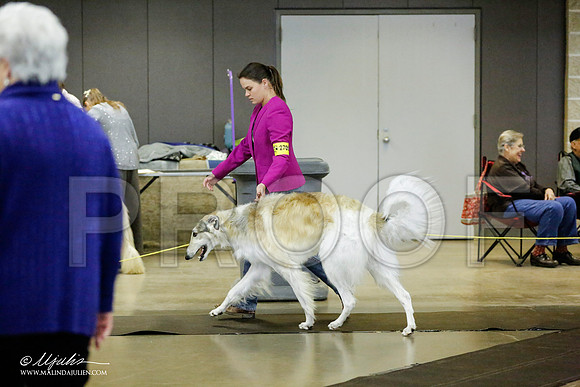 _RH_1318-BeltonJan2015IABCA-HR3