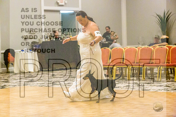 Manchester Terrier MTOY Candids-JJL_2314-Hstn2022_HR3