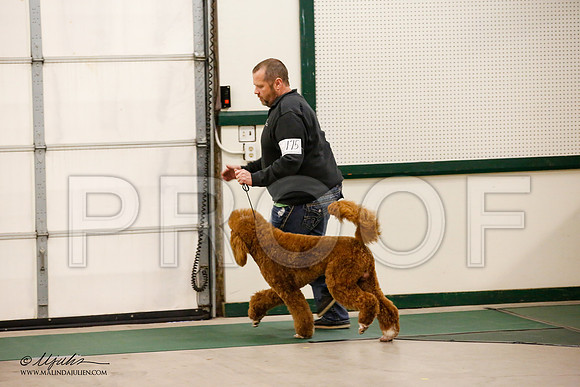 _JN_0970-NrmnNov2014-HR3