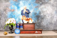Cavalier King Charles Spaniel #15 Sat WDOHBOB Judge Linda Hurlebaus