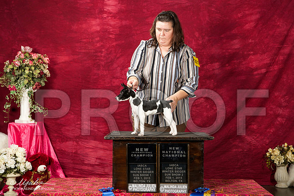 _ST_2960-BeltonJan2015IABCA-HR3