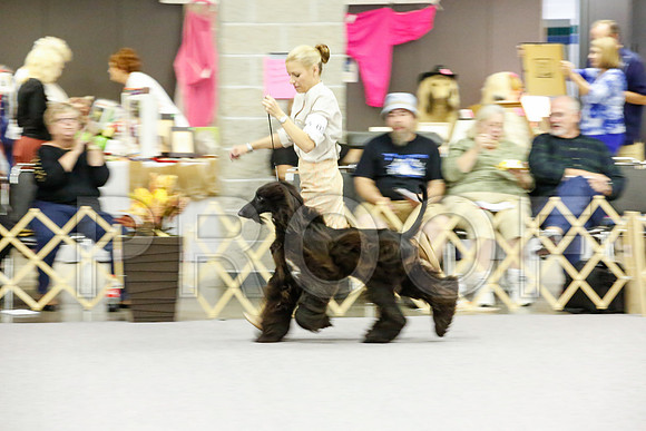 _JJ_8944-AfgBeltonOct2014-HR3