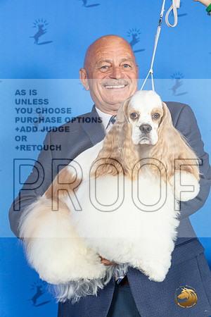 CUSTOM Cocker Spaniel Reggie SAT__JP_9845_Houston_2024_HR3