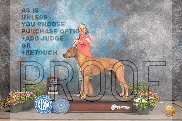 Rhodesian Ridgeback #25 SD Judge Michael Canalizo_MJ_0789_SA_2022_HR3