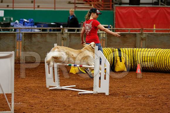 FExc20-8774-WFOct2013-HR