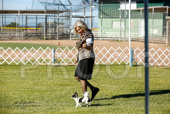 _JN_0313-AlamogordoOct2014-HR3