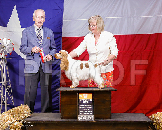 _ST_1364-2-AmarilloSep2014-HR3