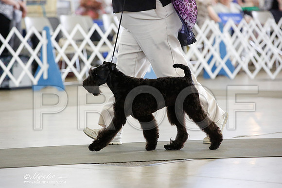 _JN_4919-DallasJul2014-HR3