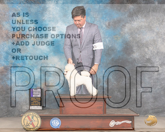 Poodle Toy #5 Fri WD Judge Brad JenkinsMMJ_3387_Mdlnd2022_HR3