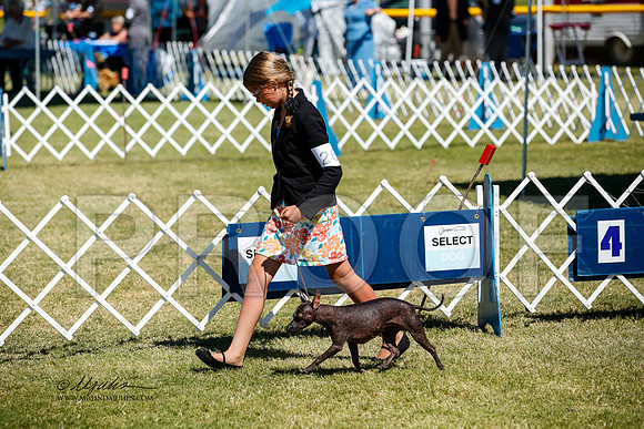 _JJ_3741-AlamogordoOct2014-HR3