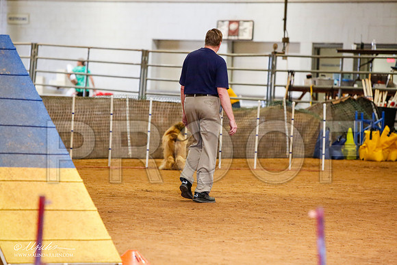 _MJ_2216-AfgBeltonOct2014-HR3