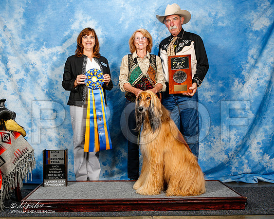 _ST_4547-2-AfgBeltonOct2014-HR3