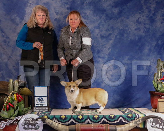 CorgPW-2892-GRJan14-HR