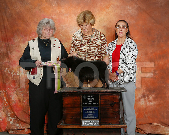 _ST_2339-2-CarlrolltonSept2014-HR3