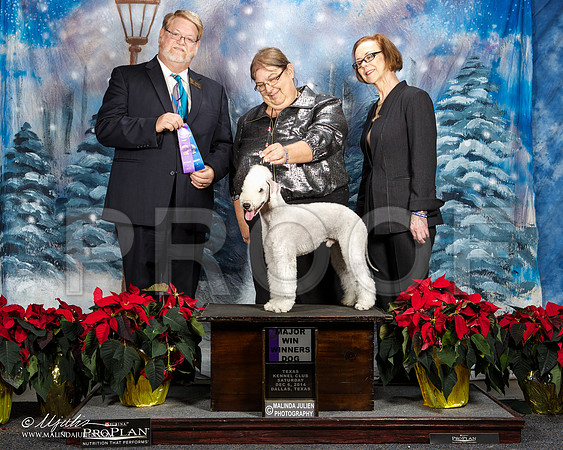 _ST_8504-DallasDec2014-HR3