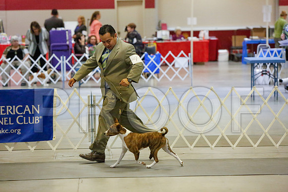 _JJ_3489-AmarilloSept2014-HR3