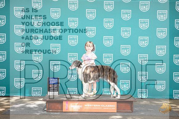 Silken Windhound #440 Sun G1 Judge Alan Krenek__JP_1767_Longview WA_2024_HR3