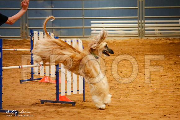 _JJ_5868-AfgBeltonOct2014-HR3