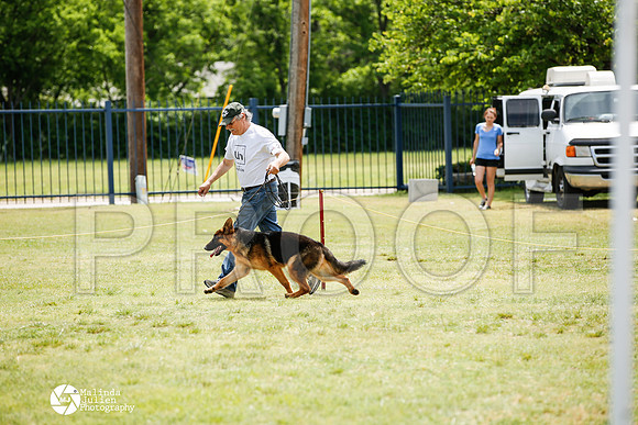 _J1_8308-BgSprngMay14-HR3