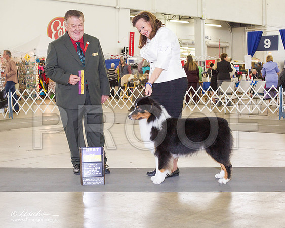 _RH_7976DallasDec2014-HR3