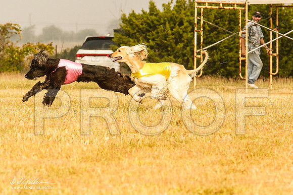 _MJ_3787-AfgBeltonOct2014-HR3