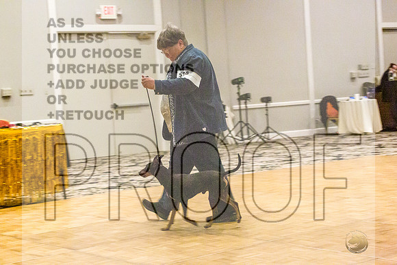 Manchester Terrier MTOY Candids-JJL_2267-Hstn2022_HR3
