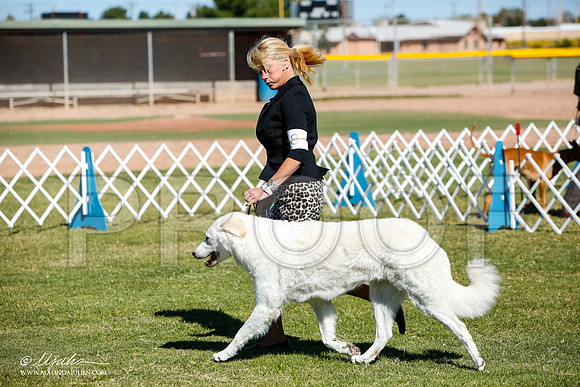 _JJ_4552-AlamogordoOct2014-HR3