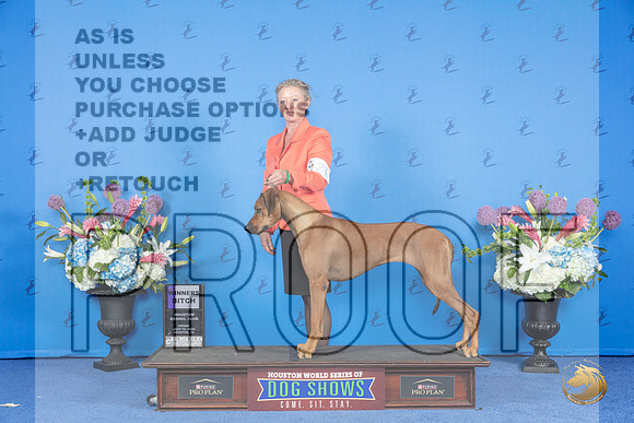 Rhodesian Ridgeback #22 FRI WB Judge Angela Pickett__JP_8856_Houston_2024_HR3