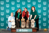 Poodles Family