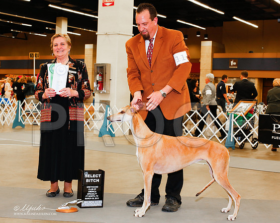 _M3_2066-AddisonHuskyMar2015-HR3