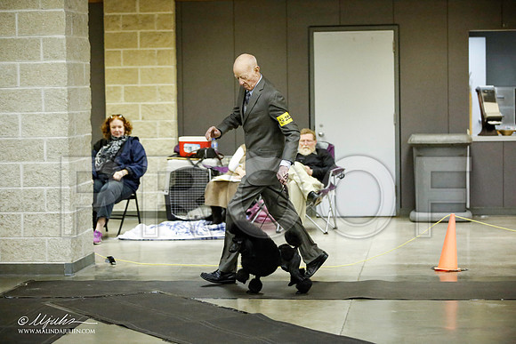 _JJ_5899-BeltonJan2015IABCA-HR3