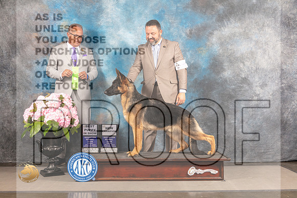 German Shepherd Dog #33 FRI BCH Judge?_MJ_5886_Houston_2022_HR3