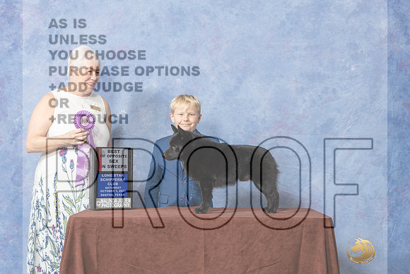 #17 BOSSweeps  Judge Sandra Ebarb-_CL_8955_Schip_2022-HR3