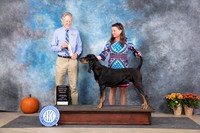 Black and Tan Coonhound #8 Fri BOB Judge Doug Broadfoot