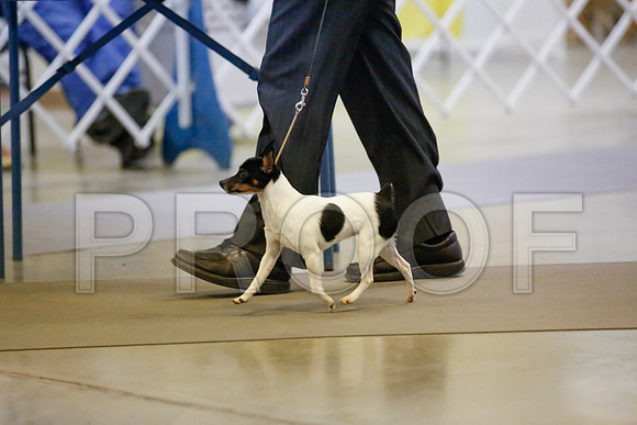 _JJ_8637-AmarilloSept2014-HR3