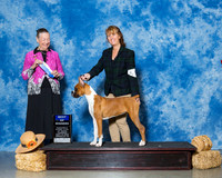 Boxers #14 Thrs BOW Wilmot Sherry Judge Mrs Carolyn A Herbel