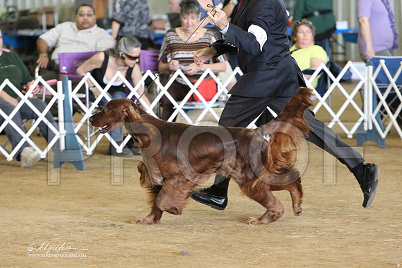 SportingGrp-5224