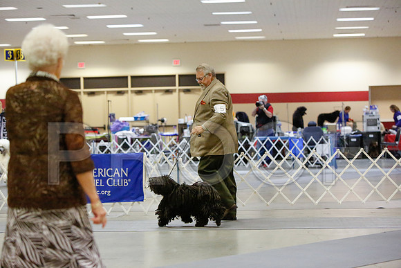 _JN_4388-AmarilloSept2014-HR3