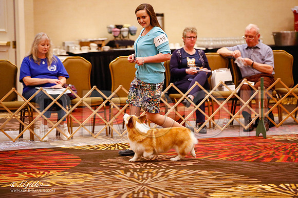 _JJ_1643-HstnCorgiFeb2015-HR3