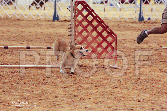CorgPW-7879 PROOF